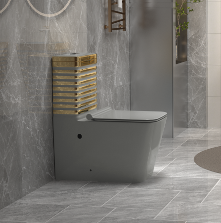 Set vas WC cu capac slim, montare pe podea, Rimless, evacuare laterală, finisaj gri/auriu – 64 × 36 × 80 cm - T2079EGG [1]