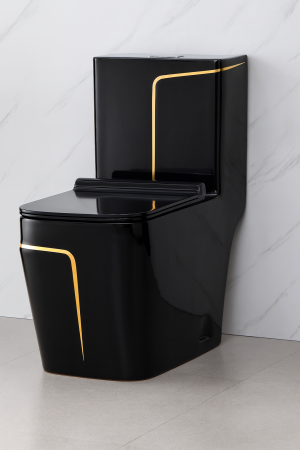 Vase wc - Set vas wc cu capac slim, montare pe podea, rimless, evacuare laterala, negru/auriu 68 x 36 x 78 cm T2130BG