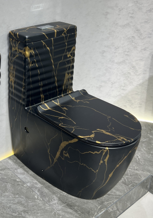 Baie - Set vas wc cu capac slim, montare pe podea, rimless, evacuare laterala, negru/auriu 68 x 37 x 80 cm T2127CW62