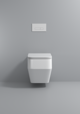 Vas WC suspendat cu capac, Rimless, finisaj alb 54 x 36 x 36 cm - T3133 [3]