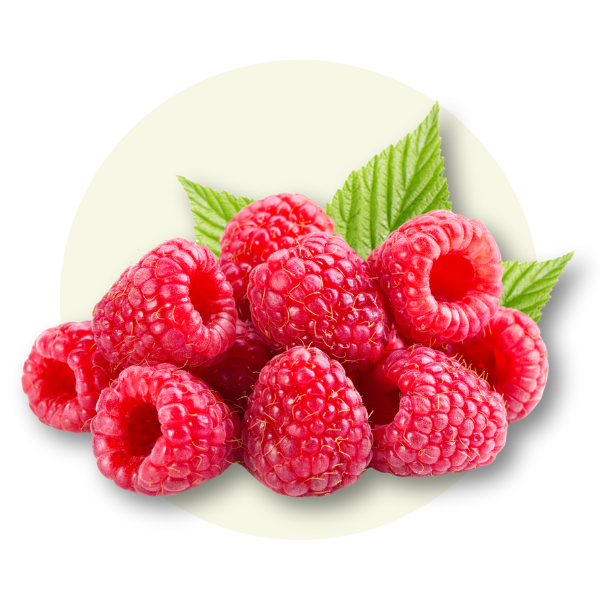 Arbuști Fructiferi