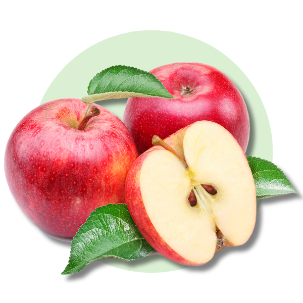Pomi Fructiferi