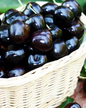 Cires Negru de Bistrita - Prunus Avium [1]