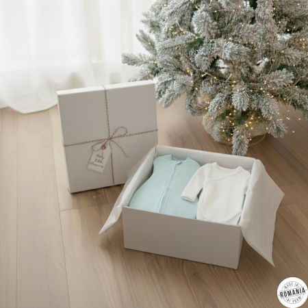 Cadouri - set-body-si-swaddle-ajustabil-baietel