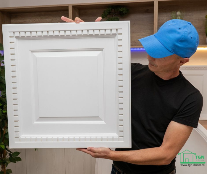 Caseta tavan/perete, din poliuretan R 250, 60cmx60cm [4]