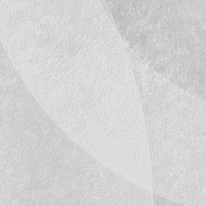 Decor "Cercuri în nuanțe fine" [2]