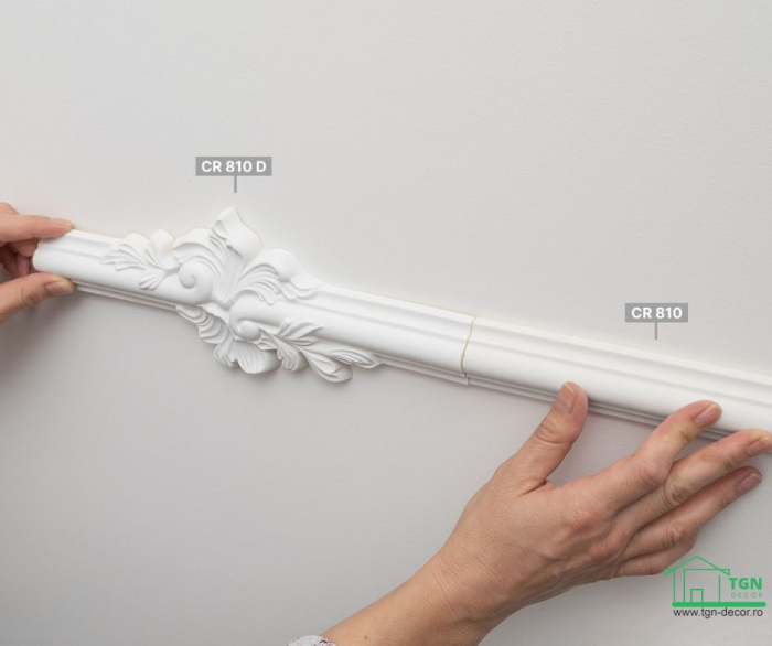 Ornament insert pentru brau CR 810D, 24.5cmx11cm [9]