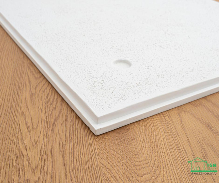 Panou W302, 50cm x100cm x2.2cm [11]