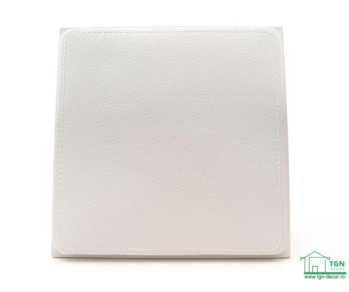 Panou W321, 29.6cm x29.6cm x2.3cm [12]