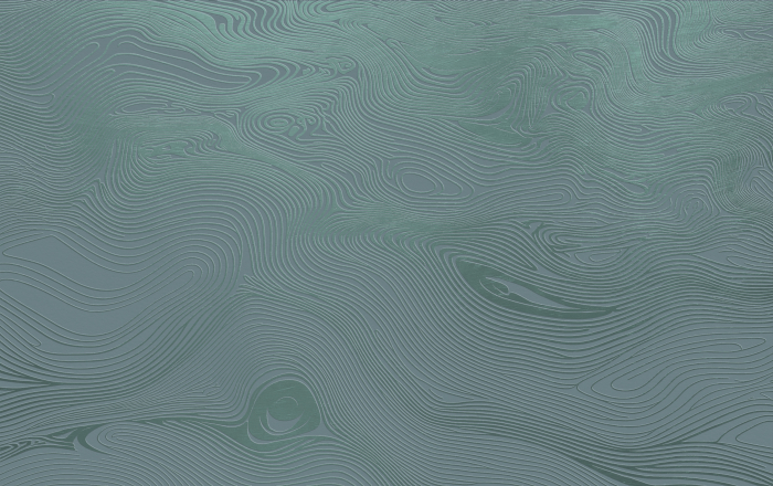 Tapet decorativ pentru vopsit - model WL-001 [4]