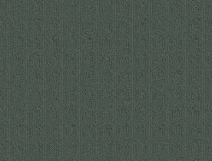 Tapet decorativ pentru vopsit - model WL-002 [4]