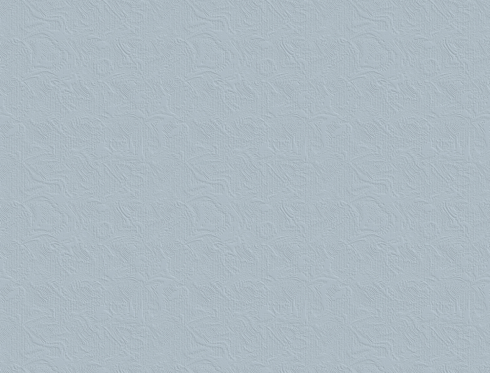 Tapet decorativ pentru vopsit - model WL-002 [5]