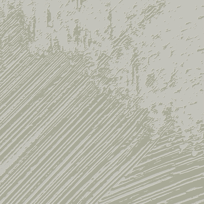 Tapet decorativ pentru vopsit - model WL-006 [2]