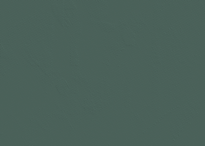 Tapet decorativ pentru vopsit - model WL-009 [6]