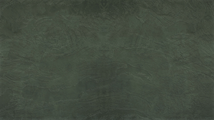 Tapet decorativ pentru vopsit - model WL-011 [6]