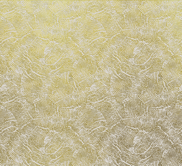 Tapet decorativ pentru vopsit - model WL-013 [5]