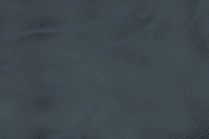 Tapet decorativ pentru vopsit - model WL-014 [6]