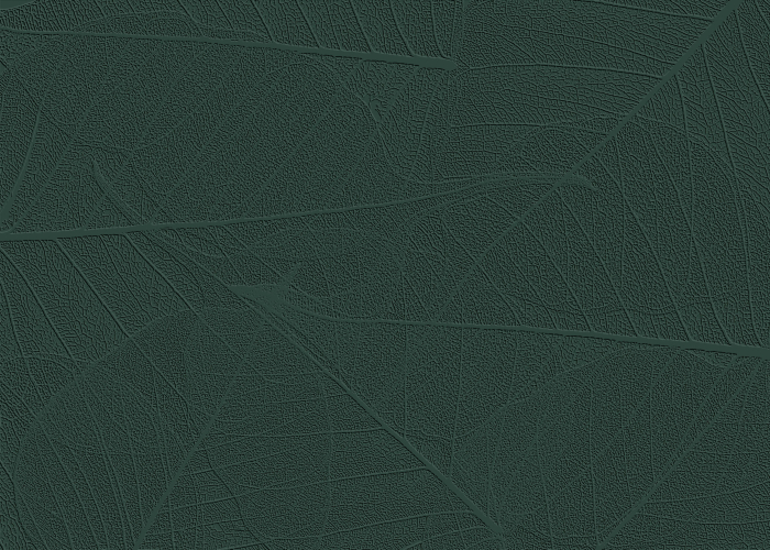 Tapet decorativ pentru vopsit - model WL-016 [6]