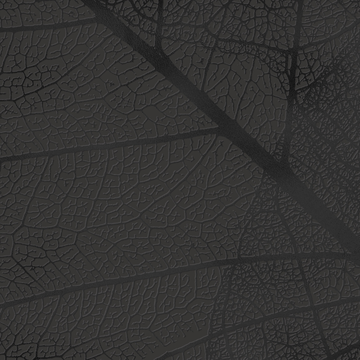 Tapet decorativ pentru vopsit - model WL-016 [3]