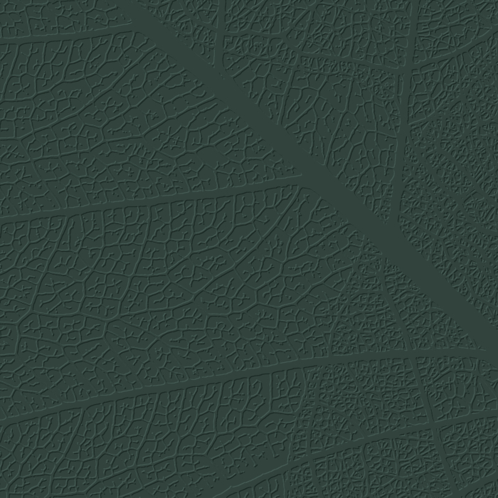 Tapet decorativ pentru vopsit - model WL-016 [2]