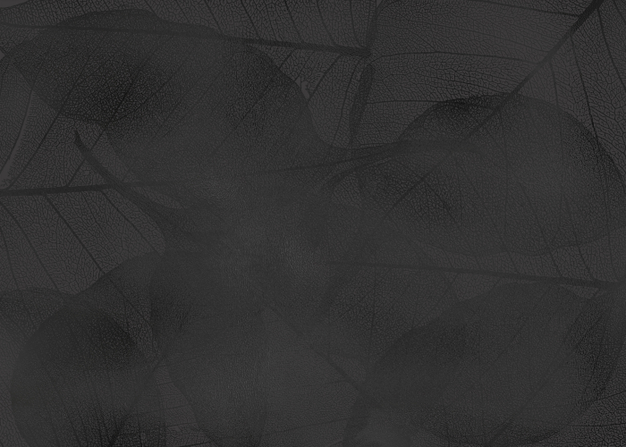 Tapet decorativ pentru vopsit - model WL-016 [5]