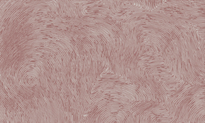 Tapet decorativ pentru vopsit - model WL-018 [6]