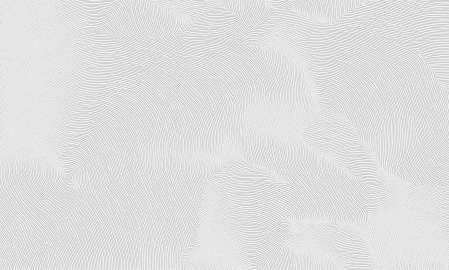 Decoruri textile imprimate in relief - Tapet decorativ pentru vopsit - model WL-018