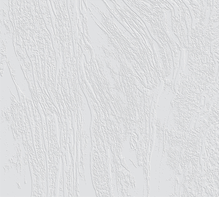 Tapet decorativ pentru vopsit - Tapet decorativ pentru vopsit - model WL-026