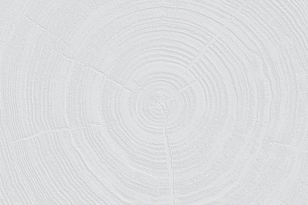 Tapet decorativ pentru vopsit - Tapet decorativ pentru vopsit - model WL-030