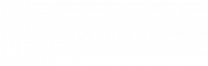 The King