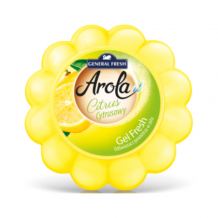 DETERGENTI SI ODORIZANTE - Odorizant camera gel General Fresh 150 gr, Lamaie
