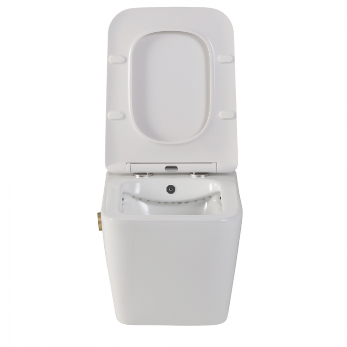 Vas wc suspendat cu functie bideu, dreptunghiular, apă calda/rece, rimless, baterie auriu mat Foglia Safari [3]