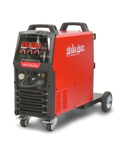 Smart 250 MP SYNER [2]