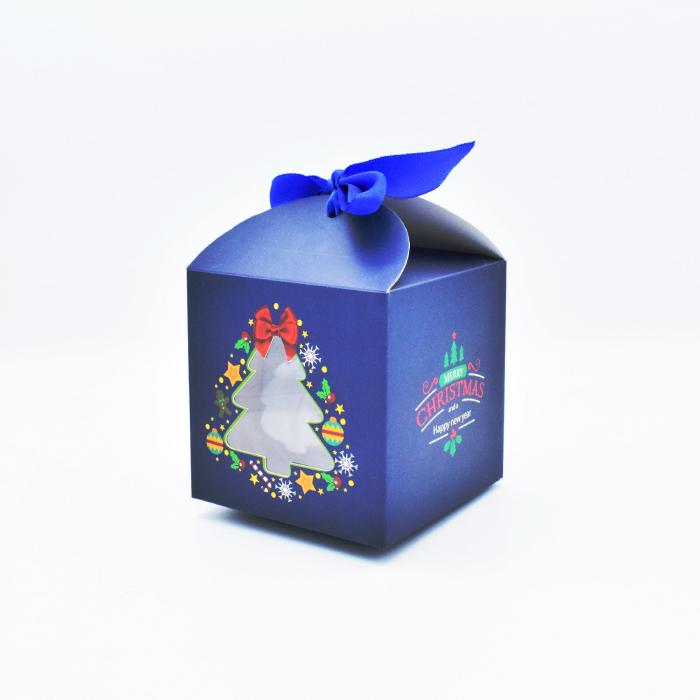 Glob-de-craciun-personalizat-cu-poza [3]