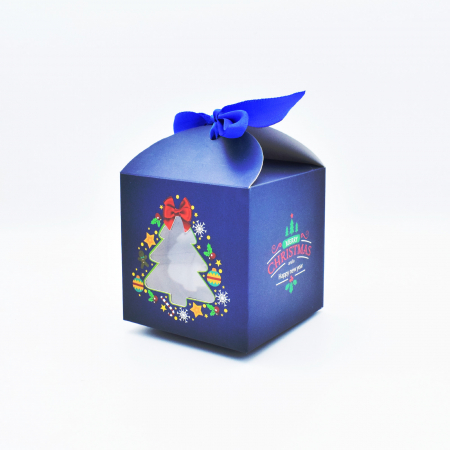 Glob-de-craciun-personalizat-cu-poza [2]