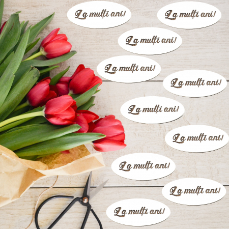 Accesorii pentru florarii - placute-tablite-gravate-cu-text-la-multi-ani