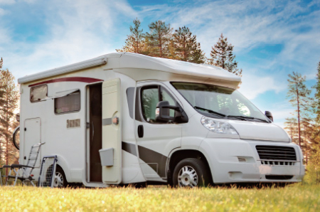 Ușă de intrare pentru rulotă, autorulotă, cutie 603×1813 mm [16]