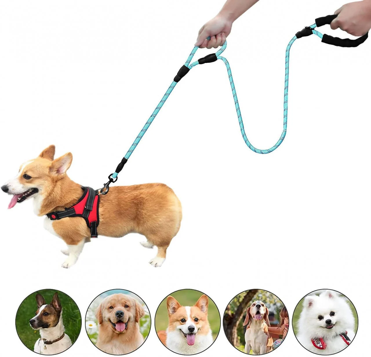 Lesa Rezistenta pentru Caini, 180 cm, Nailon si Metal [2]