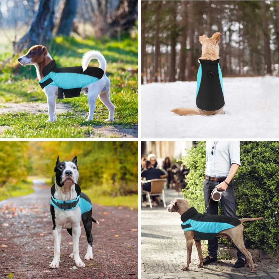 Jacheta Reflectorizanta Impermeabila pentru Caini – Negru/Albastru [3]