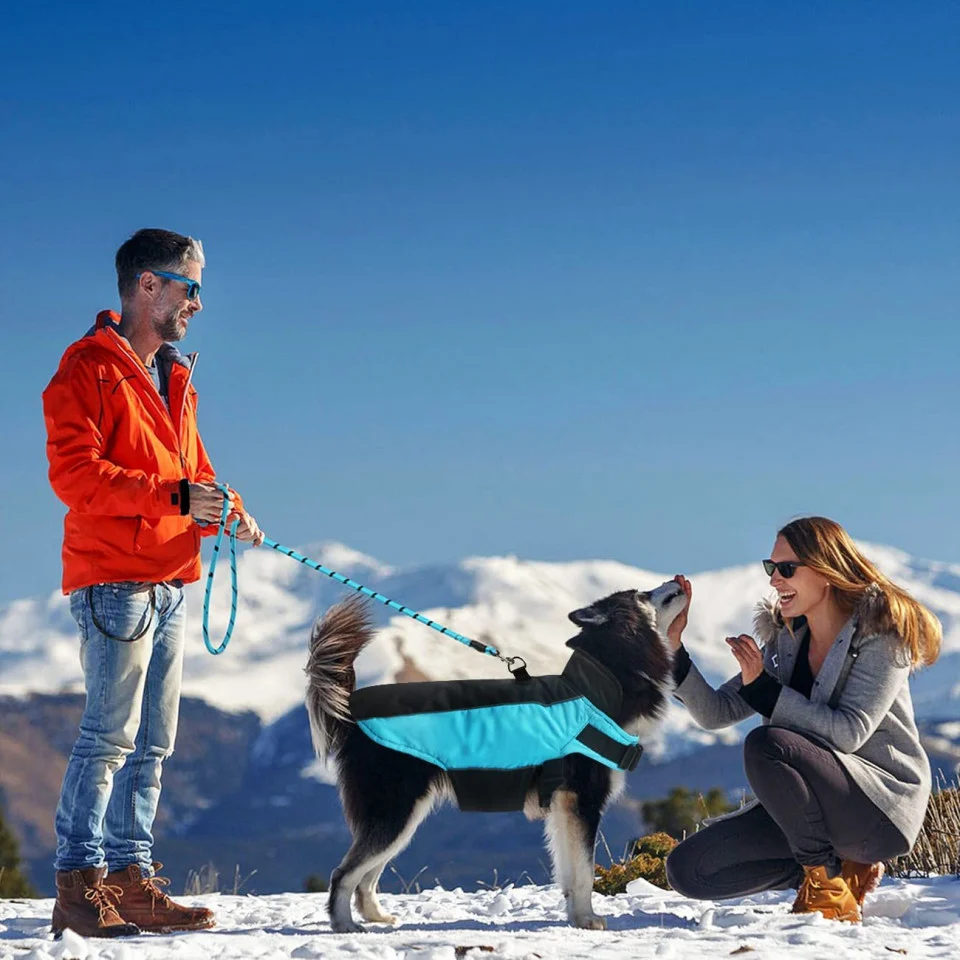 Jacheta Reflectorizanta Impermeabila pentru Caini – Negru/Albastru [4]
