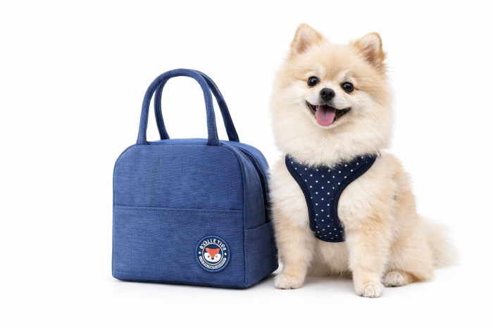 Geanta picnic denim albastru [2]