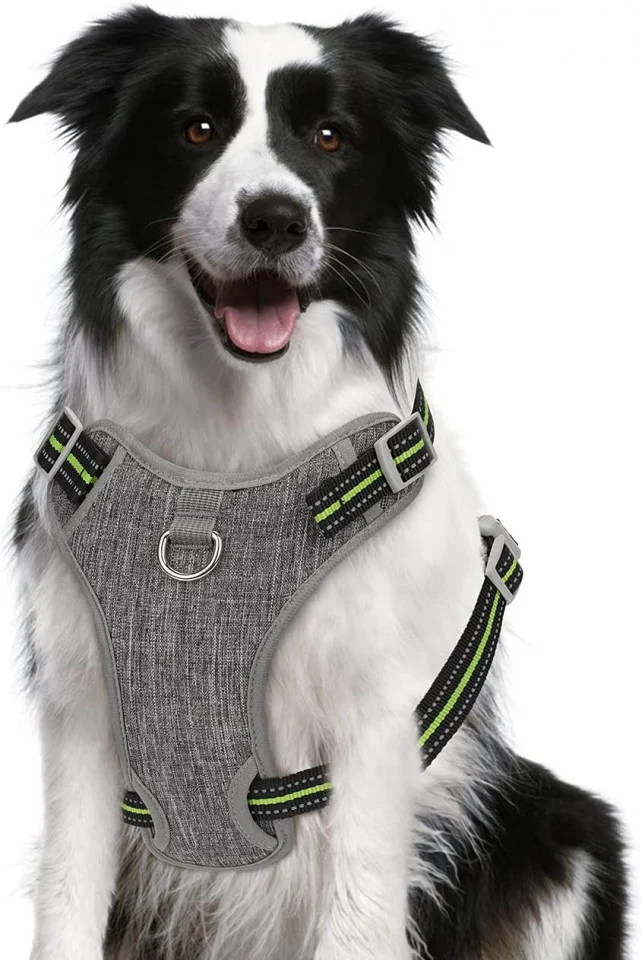 Ham Pentru Caine Marimea L Reflectorizant [2]