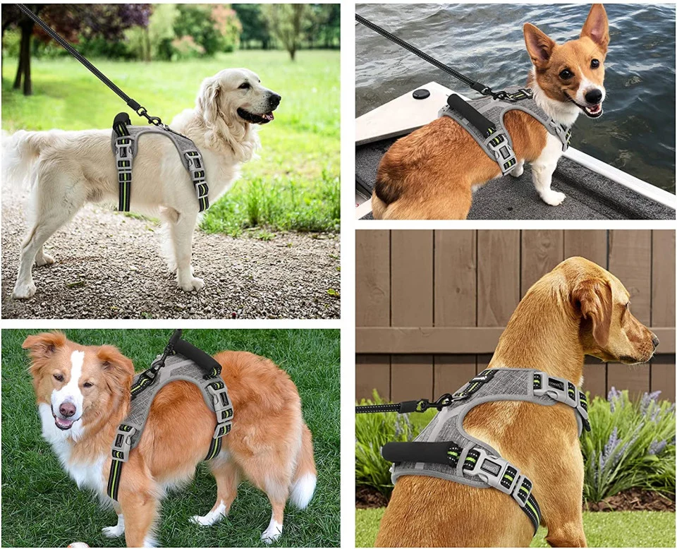 Ham Pentru Caine Marimea L Reflectorizant [3]