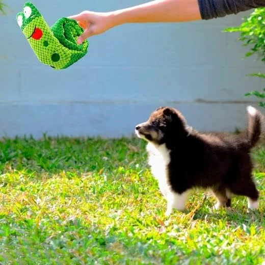 Jucarie Interactiva pentru Caini – Textil Verde [5]