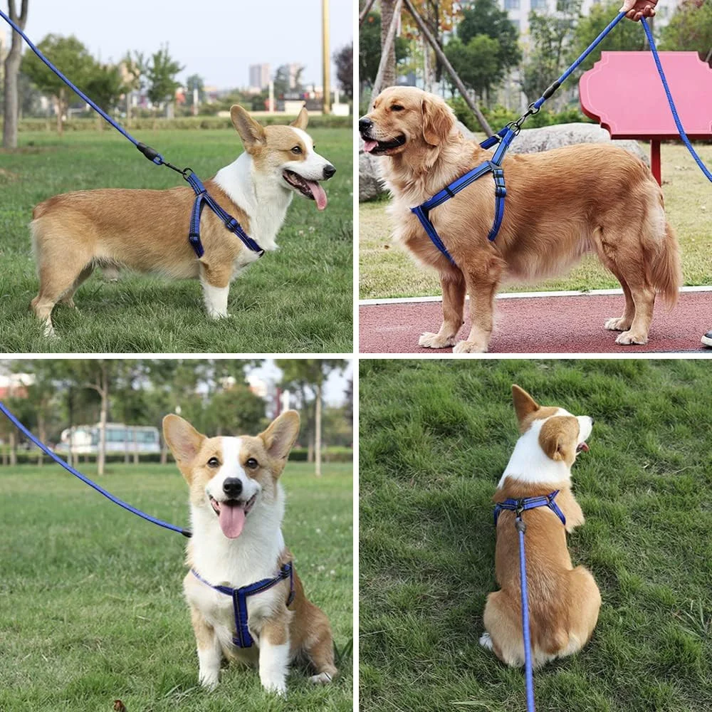 Lesa Rezistenta Pentru Caini 150 cm Albastru [4]