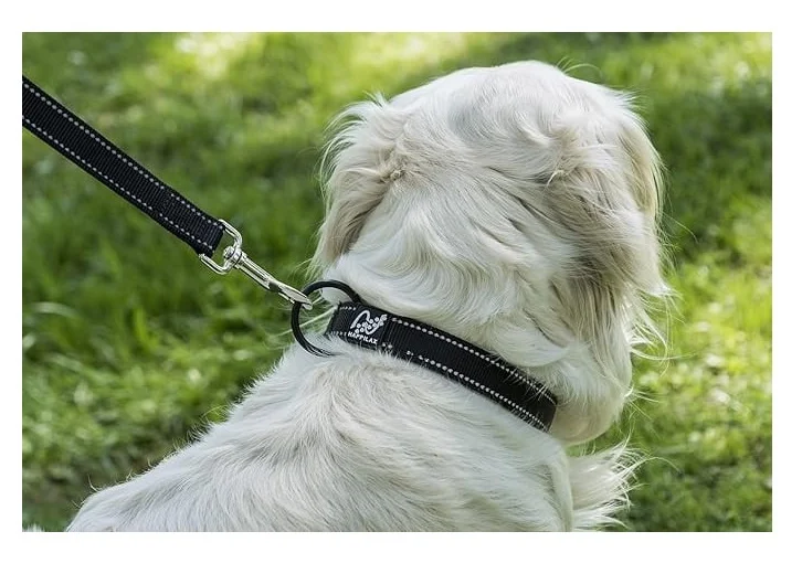 Zgarda Caine Happilax Negru, M 40-45 cm [2]