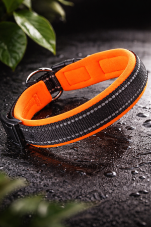Curea reflectorizanta pentru caini, neopren, portocaliu [1]