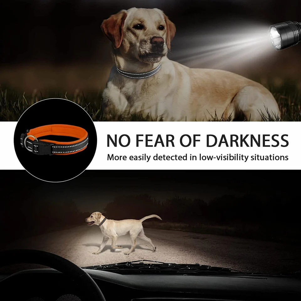 Curea reflectorizanta pentru caini, neopren, portocaliu [2]