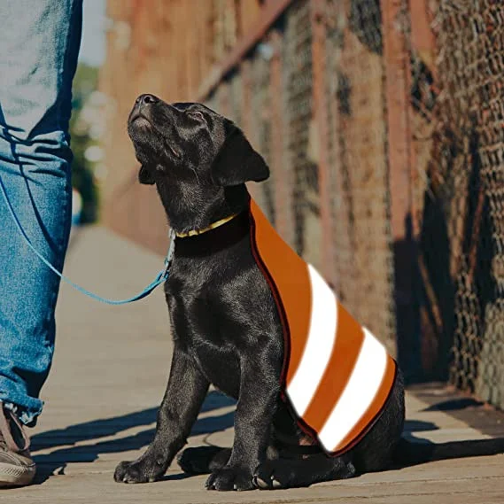 Vesta Reflectorizanta Pentru Caini Negru / Portocaliu [6]