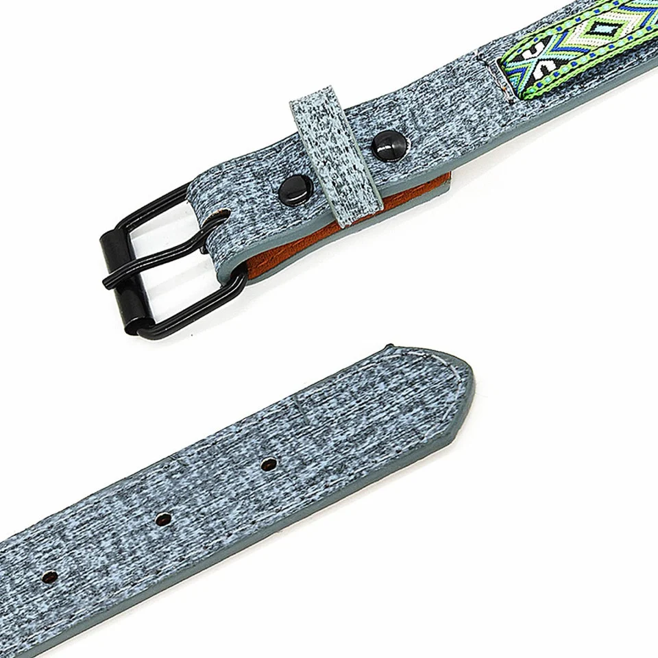 Zgarda pentru Caini din Piele si Otel Inoxidabil – Multicolor [4]